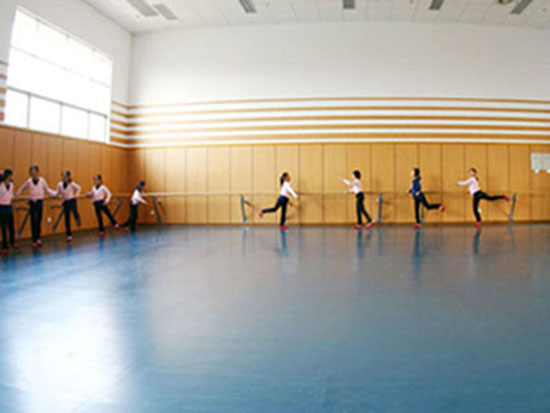 驻马店塑胶运动地板发展前景展望